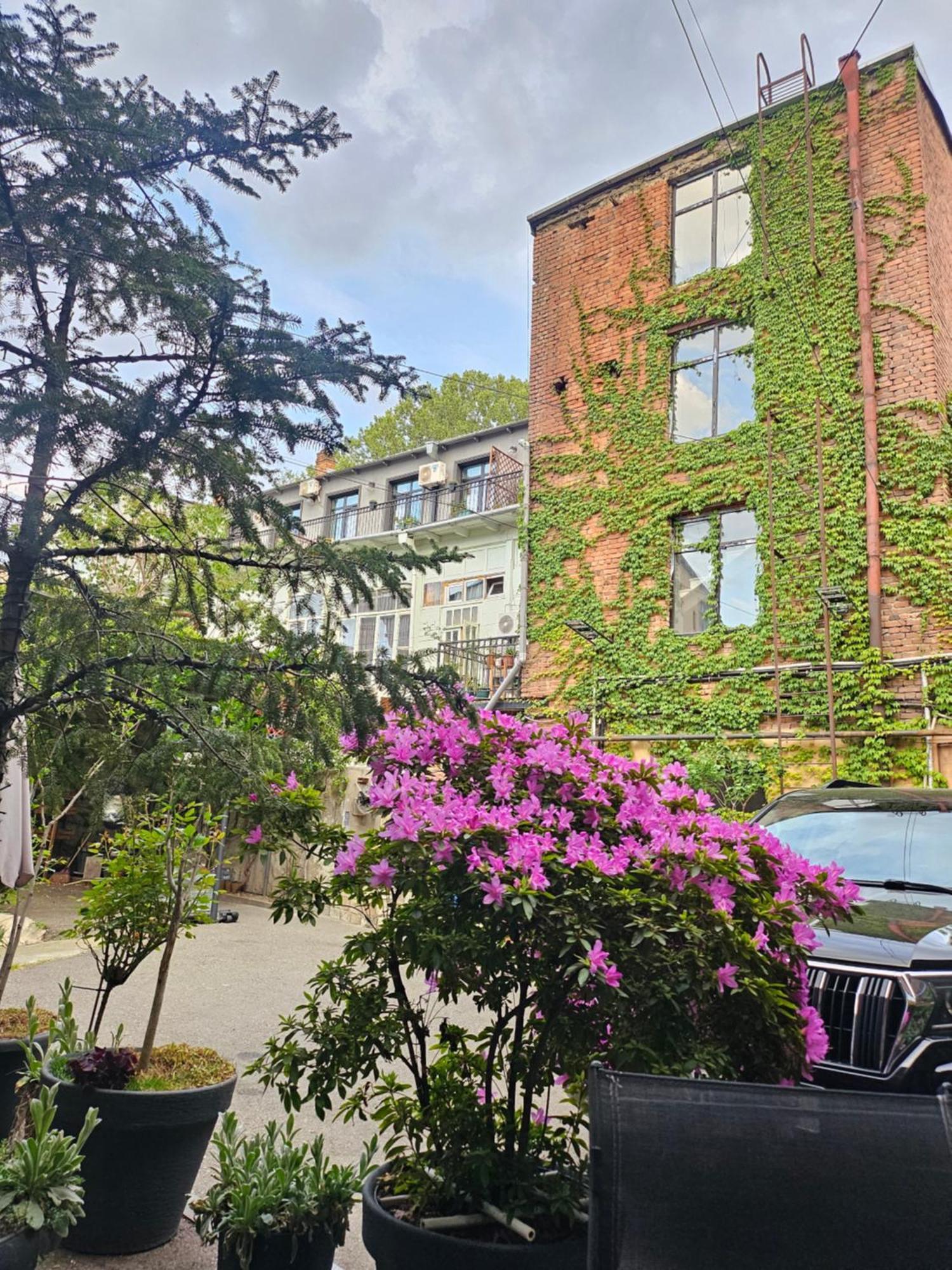 Old Apartments1 *