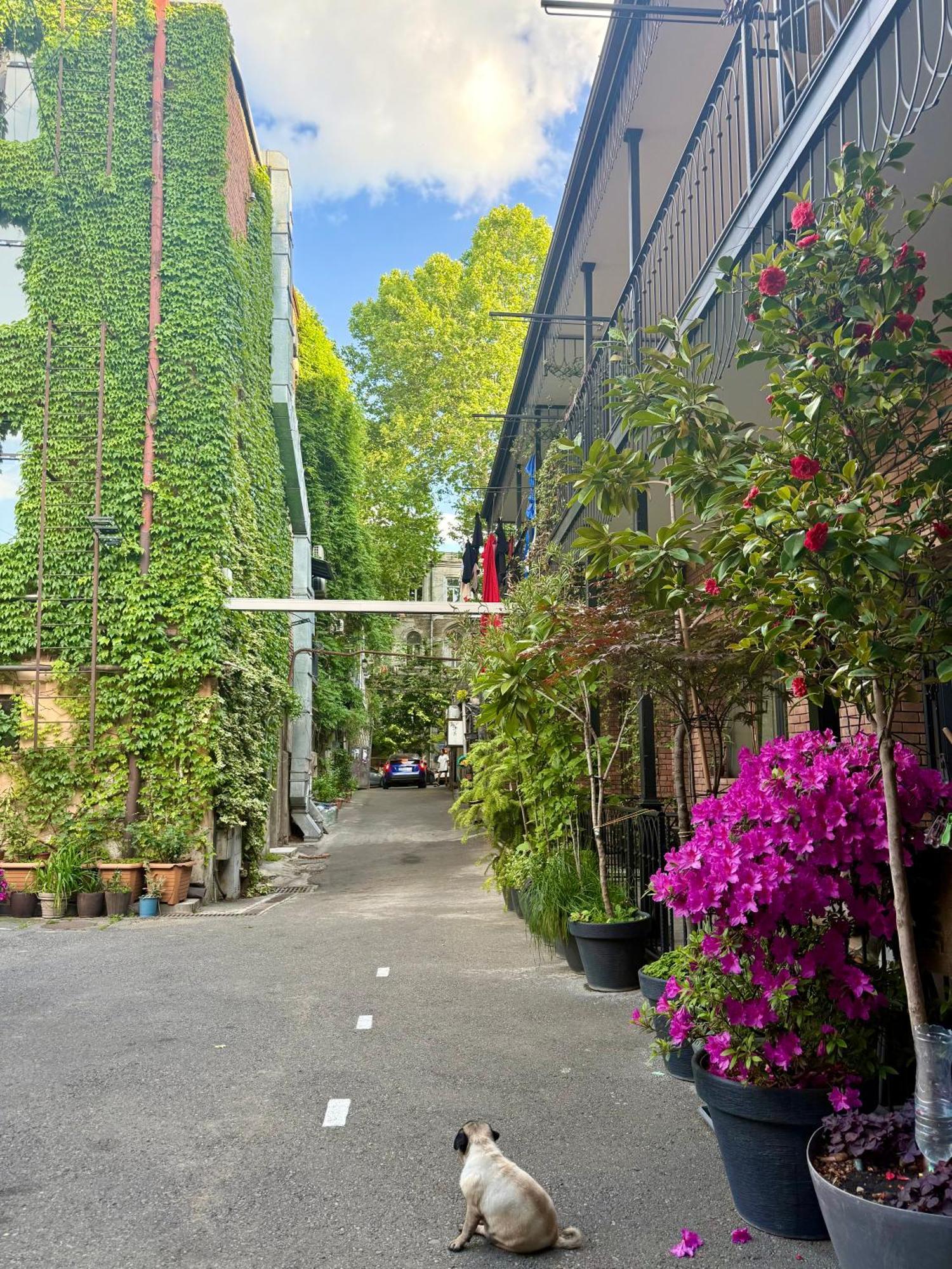 Old Apartments1 *